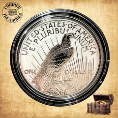 Collection image for: US Coins